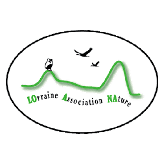 Logo LOANA - Lorraine Association Nature