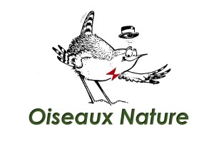 Logo Association Oiseaux Nature
