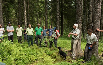 Observation naturaliste dans le massif vosgien