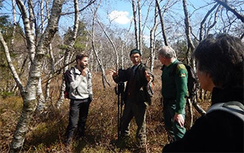 Forêt vosgienne, habitat naturel du Grand Tétras